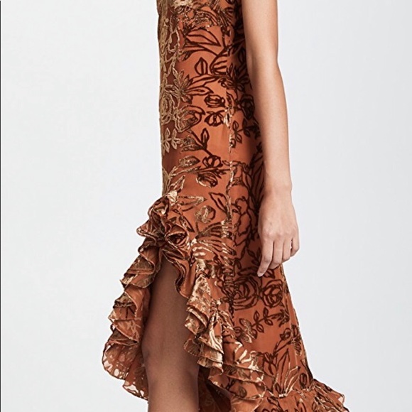 Caroline Constas Burnout Slip Dress NWT - Picture 3 of 5